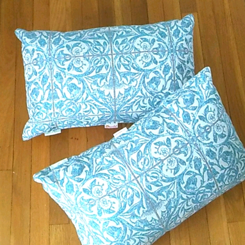 Pottery Barn SET OF 2 - 13x22 pillows